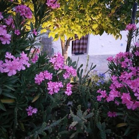 Cuevas Los Coloraos - La Residencia Villanueva de las Torres Dış mekan fotoğraf